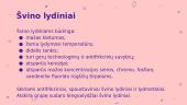 Švinas ir švino atomas 12 puslapis