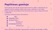 Švinas ir švino atomas 5 puslapis