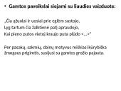 "Anykščių šilelio" gamta 5 puslapis