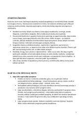 Terorizmas - grėsmė žmonijai 5 puslapis