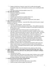 Terorizmas - grėsmė žmonijai 6 puslapis