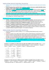 Vandentiekio paskaitų medžiaga 11 puslapis