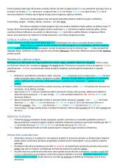 Vandentiekio paskaitų medžiaga 16 puslapis