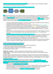 Vandentiekio paskaitų medžiaga 4 puslapis