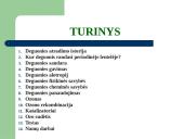 Deguonies elementas 2 puslapis