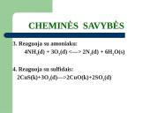 Deguonies elementas 19 puslapis