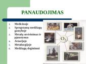 Deguonies elementas 20 puslapis