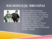 Kilmingųjų visuomenė viduramžiais 2 puslapis