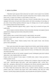 Viduramžių pasaulis ir pasaulėžiūra 3 puslapis