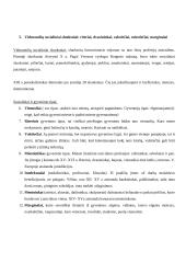 Viduramžių pasaulis ir pasaulėžiūra 5 puslapis