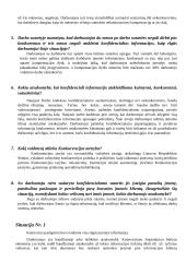 Verslo teisė: konfidencialumo ir nekonkuravimo sutartys 2 puslapis