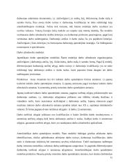 Apmokėjimas už darbą Lietuvoje: ypatumai ir tobulinimo galimybės  14 puslapis