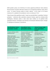 Apmokėjimas už darbą Lietuvoje: ypatumai ir tobulinimo galimybės  15 puslapis