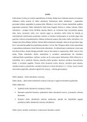 Apmokėjimas už darbą Lietuvoje: ypatumai ir tobulinimo galimybės  2 puslapis