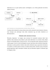Apmokėjimas už darbą Lietuvoje: ypatumai ir tobulinimo galimybės  7 puslapis