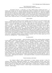 Kam žmogui duota vaizduotė? (100-uko rašinys)