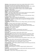 Svarbiausios literatūros sąvokos