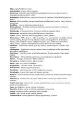 Svarbiausios literatūros sąvokos 2 puslapis