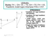 Trikampių lygumo ir panašumo požymiai  11 puslapis