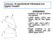 Trikampių lygumo ir panašumo požymiai  19 puslapis