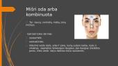 Pagrindiniai odos tipai 12 puslapis