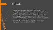Pagrindiniai odos tipai 9 puslapis