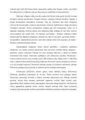 Refugiumai Europoje Pleistoceno apledėjimų metu 3 puslapis