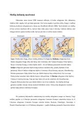 Refugiumai Europoje Pleistoceno apledėjimų metu 6 puslapis