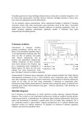 Vaisinės muselės (Drosophila melanogaster) mobilieji elementai 2 puslapis
