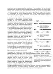 Vaisinės muselės (Drosophila melanogaster) mobilieji elementai 5 puslapis