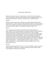 Renesansas, Renesanso literatūra 2 puslapis