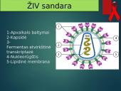 ŽIV ir AIDS liga 3 puslapis
