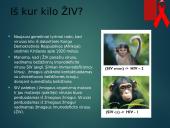 ŽIV ir AIDS liga 6 puslapis