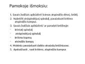 Šešėlis ir šviesos atspindys 4 puslapis