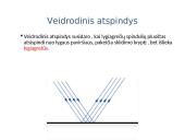 Šešėlis ir šviesos atspindys 6 puslapis