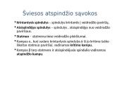 Šešėlis ir šviesos atspindys 10 puslapis