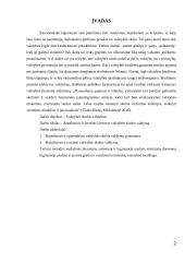 Valstybės skolos valdymas 2 puslapis