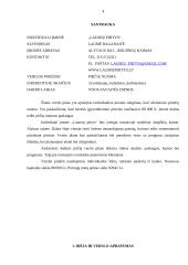 Pirčių nuomos verslo planas 2 puslapis