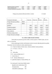 Pirčių nuomos verslo planas 11 puslapis