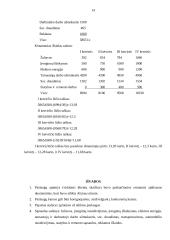 Pirčių nuomos verslo planas 12 puslapis