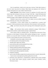 Pirčių nuomos verslo planas 3 puslapis