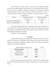 Pirčių nuomos verslo planas 5 puslapis