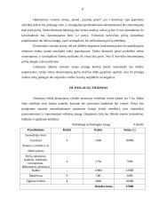 Pirčių nuomos verslo planas 6 puslapis