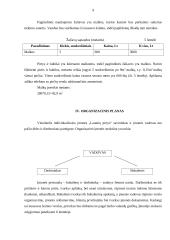 Pirčių nuomos verslo planas 7 puslapis