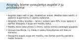 Atogrąžų biomas 8 puslapis