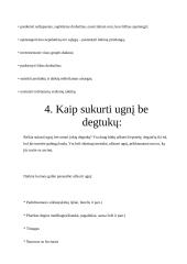 Bendri išgyvenimo atokioje vietovėje principai 5 puslapis