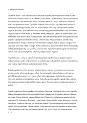 Bendri išgyvenimo atokioje vietovėje principai 8 puslapis