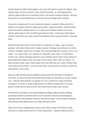 Bendri išgyvenimo atokioje vietovėje principai 10 puslapis