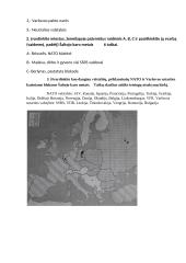 Šaltojo karo užduotys 4 puslapis