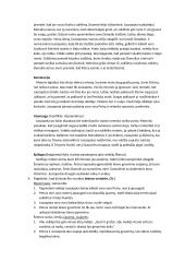 Liūdna pasaka - analizė 2 puslapis